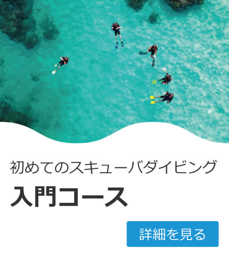 初めてのスキューバダイビング　入門コース