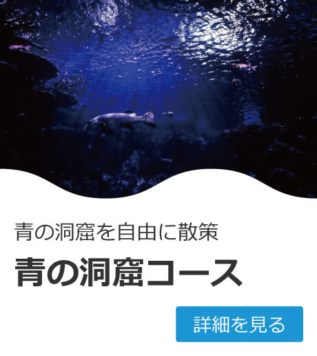 青の洞窟を自由に散策　青の洞窟コース