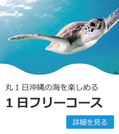 丸１日沖縄の海を楽しめる　１日フリーコース